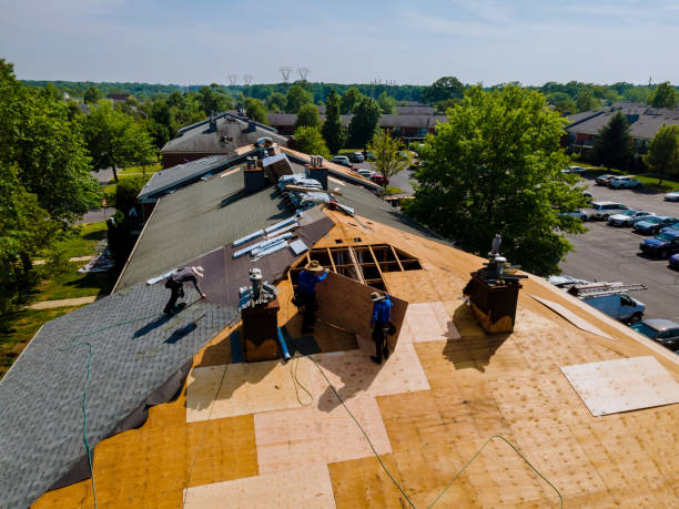 Trusted Roof Replacement service in Greeley, CO - Brentwood Metal Roofing